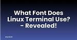 Quick Answer: What Font Does Linux Terminal Use?