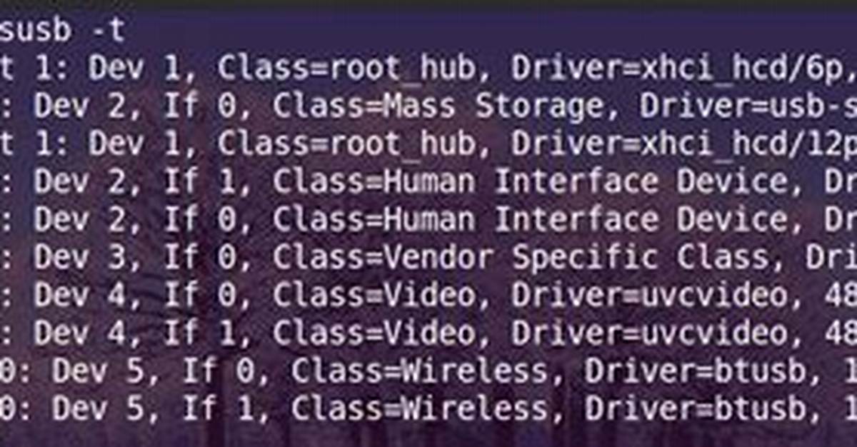 Quick Answer: What Is Lsusb in Linux?