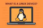 Quick Answer: What Is Raw Device Linux?