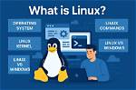 Quick Answer: What Language Does Linux Use?