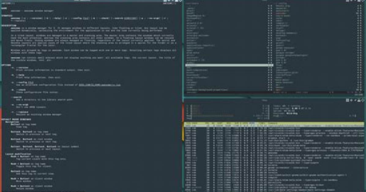 Quick Answer: What Window Manager Does Linux Mint Use?