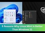 Quick Answer: Why Is Linux Mint Slow?