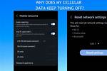 Quick Answer: Why Is My Cellular Data Not Working iOS 13?