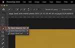 Quick Selection Tool Photoshop