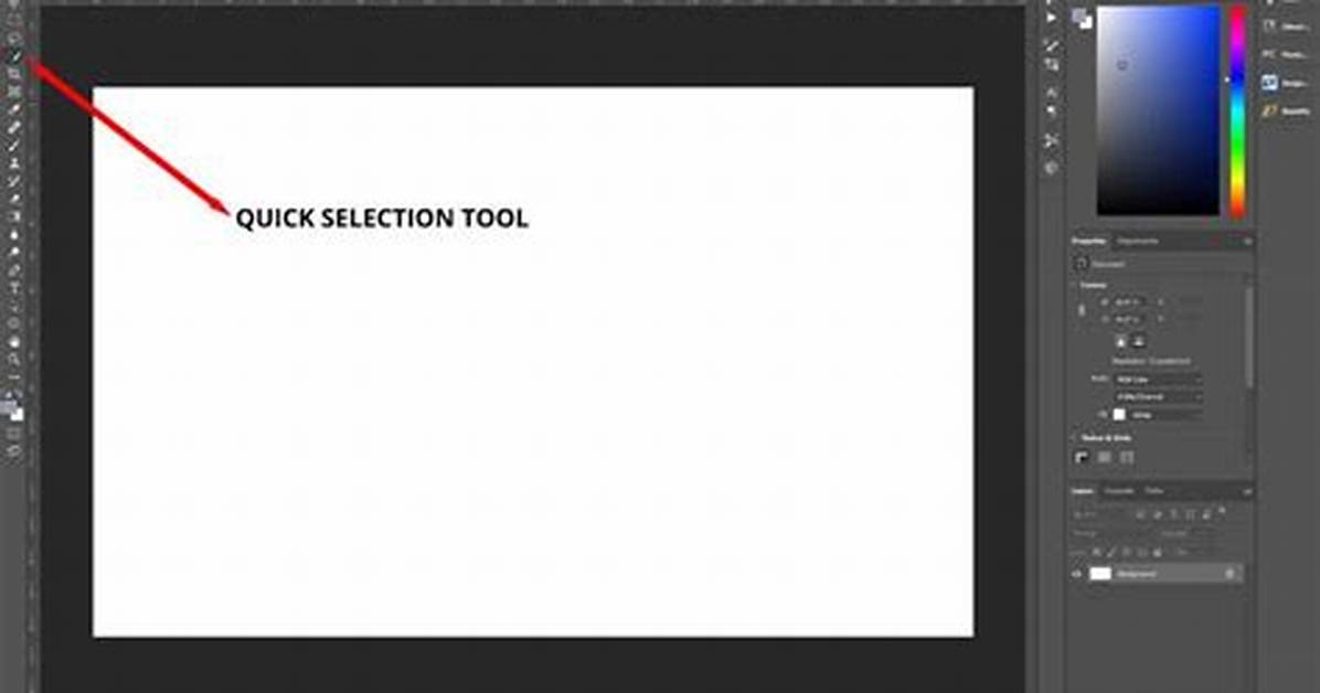 Quick Selection Tool