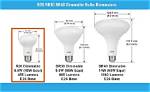 R20 Bulb