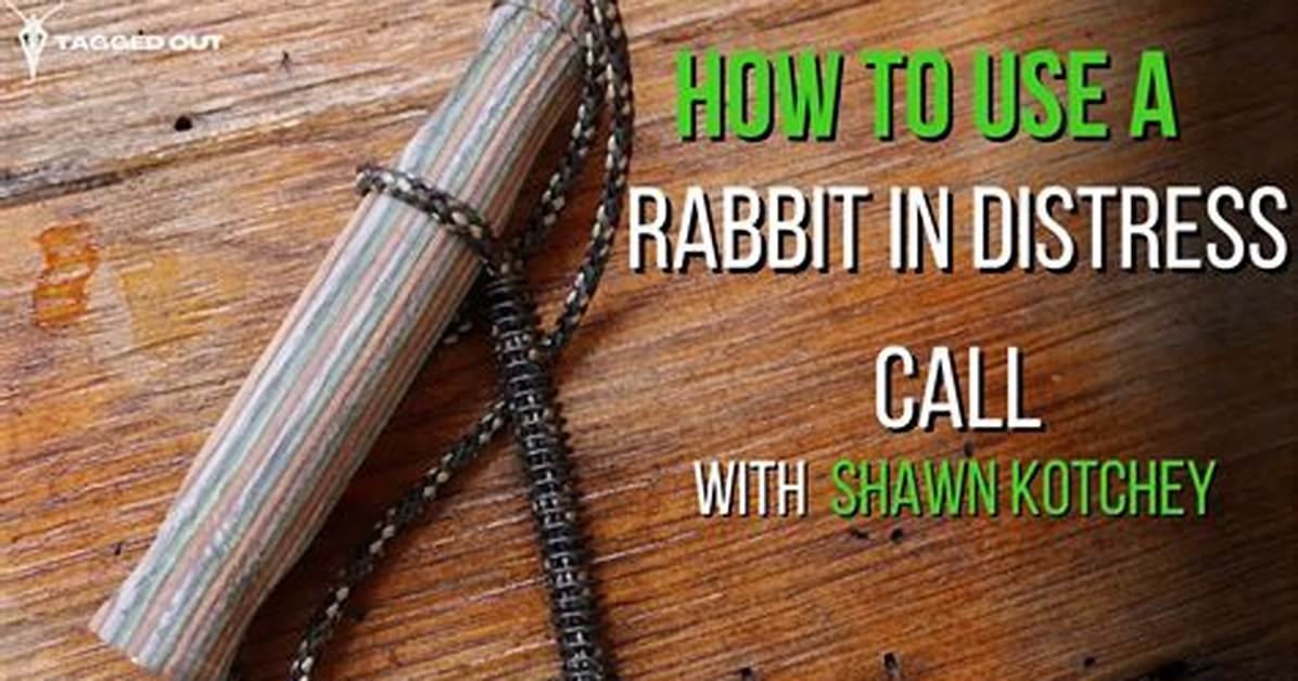 Rabbit Call