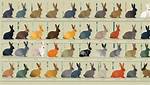 Rabbit Colors