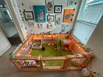 Rabbit Enclosures