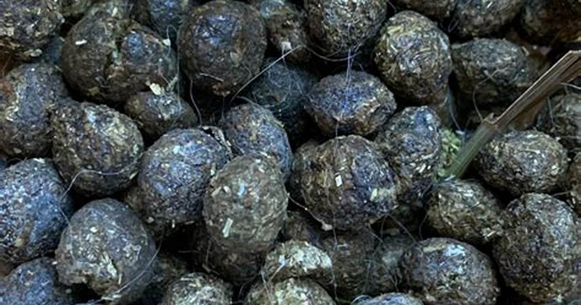 Rabbit Manure