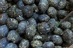 Rabbit Manure