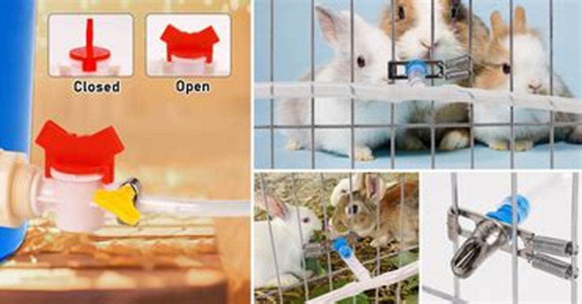 Rabbit Waterer