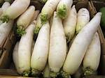 Radish Vegetable