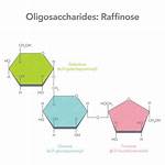 Raffinose
