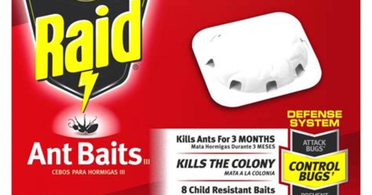 Raid Ant Bait