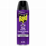 Raid Flea Spray
