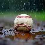 Rain ___ (Baseball Game Interruption)