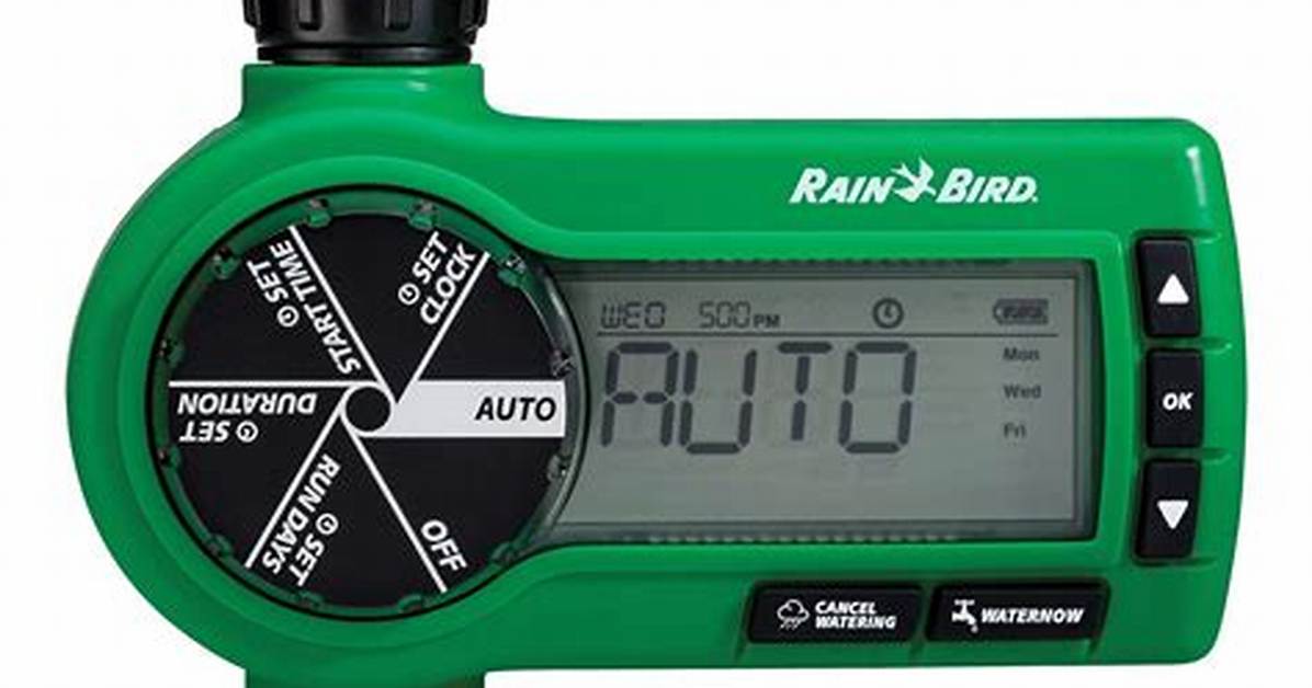 Rainbird Timer
