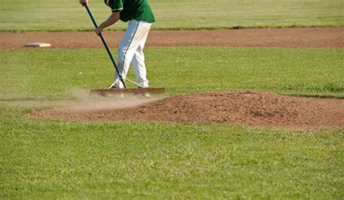 Rakes Baseball