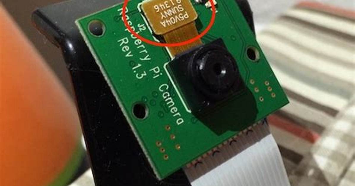 Raspberry Camera Error: "Mmal: No Data Received from Sensor"