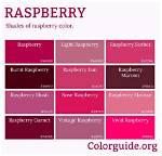 Raspberry's Color