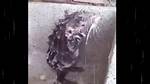 Rat in Shower