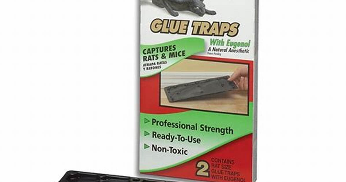 Rat Traps Lowes