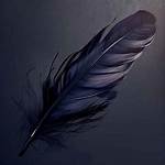Raven Feather