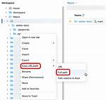 Raw Folder Url Path?
