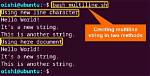 Raw Multiline String in Bash?