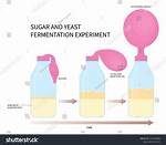 React to Yeast