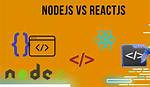 Reactjs vs Nodejs - Why Do I Need to Create Both?