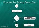 Read Binary File with R