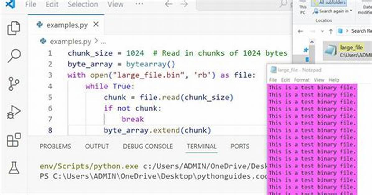 Reading a Binary File with Python