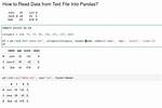 Reading. Data File Using Pandas