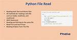 Reading from File Using Read() Function