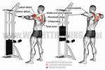 Rear Delt Face Pulls