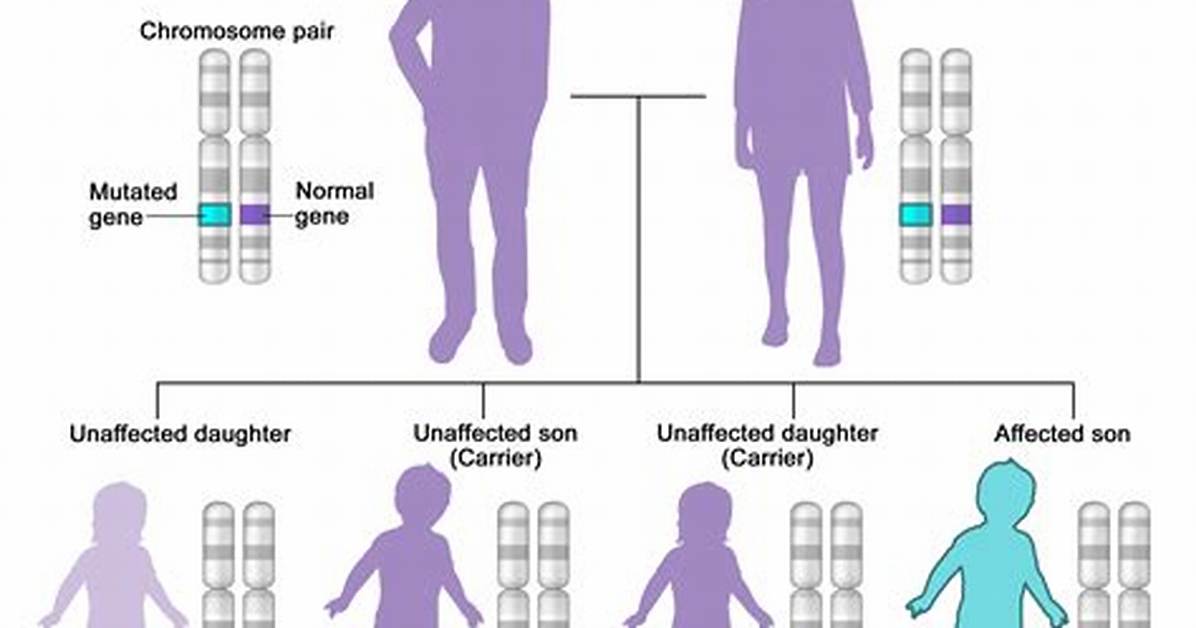 Recessive Meaning