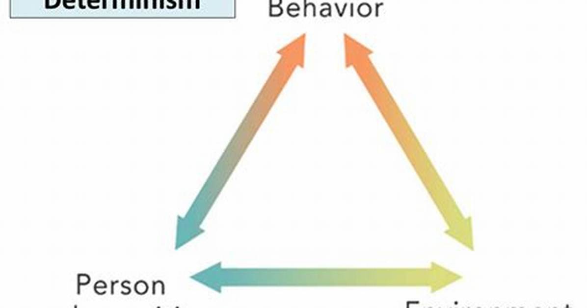 Reciprocal Determinism Example