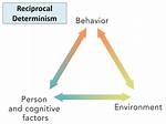 Reciprocal Determinism Example
