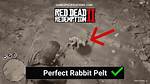 Red Dead Redemption 2 Perfect Quality Rabbit Belts