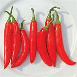 Red Serrano Pepper