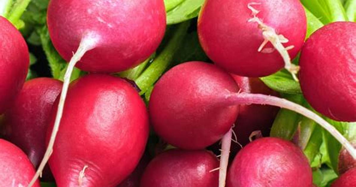 Red-Skinned Vegetable