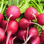 Red-Skinned Vegetable