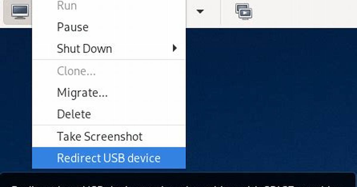 Redirect Usb Device to Virtual Machine Using Hyper-v as Host
