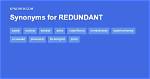 Redundant Synonym