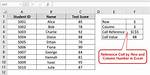 Reference Cell Value and Its Format