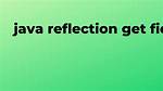 Reflection Generic Get Field Value
