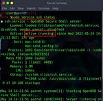 Remote Ssh Command with Sed Not Working