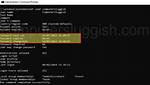 Remove a User's Password Using "Net" Command'